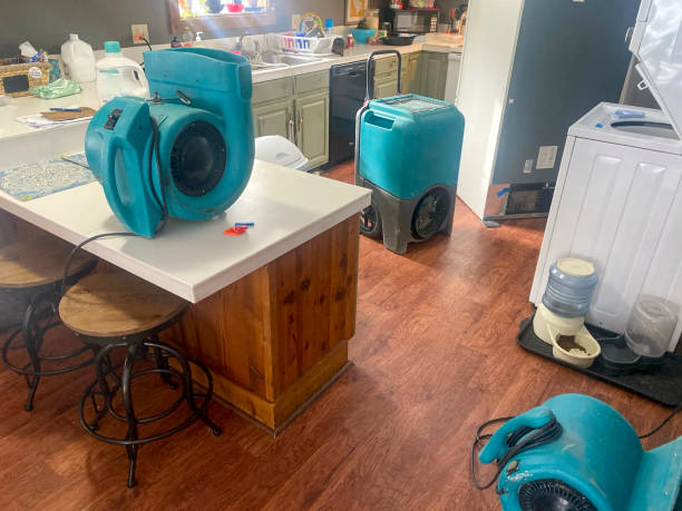 Best Water damage restoration near me  in Lannon, WI