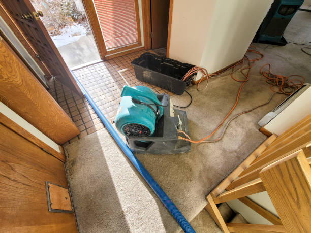 Best Local water damage restoration  in Lannon, WI