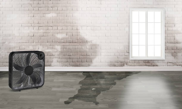 Best Commercial water damage restoration  in Lannon, WI