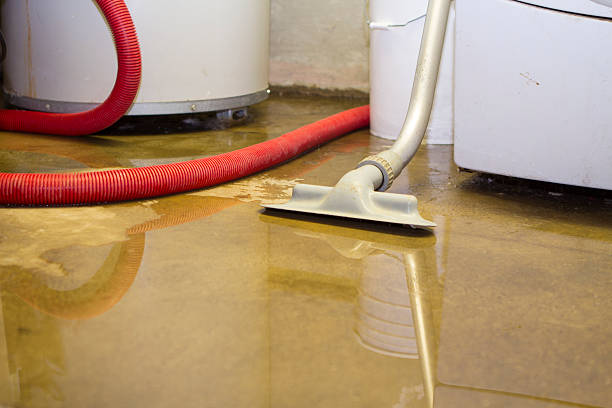 Best 24-hour water damage restoration  in Lannon, WI