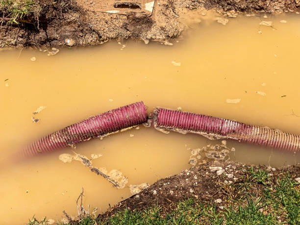 Best Water damage restoration company  in Lannon, WI